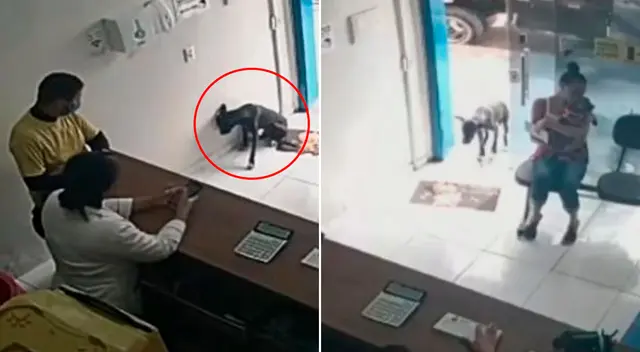 El emotivo video viral conmovió a miles de internautas en YouTube. El emotivo video viral conmovió a miles de internautas en YouTube.