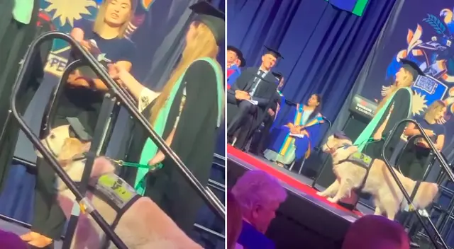 El perrito utilizó un mini birrete para la ocasión.