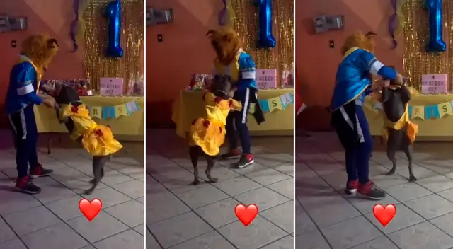 La perrita bailó el vals junto a su dueño.