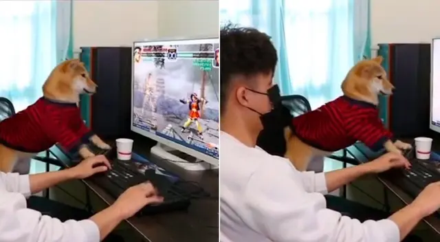 El video viral logró más de 3 millones de reproducciones en TikTok.