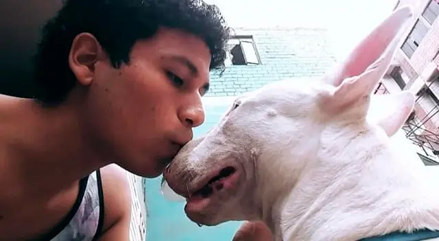 A través de sus tesis, el joven pudo comprobar que el proceso de duelo por la pérdida de una mascota es similar a la de la muerte de un ser humano. A través de sus tesis, el joven pudo comprobar que el proceso de duelo por la pérdida de una mascota es similar a la de la muerte de un ser humano.