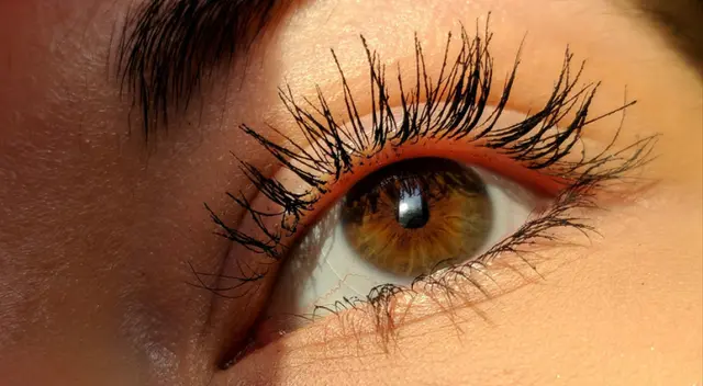 El cepillado estimula el crecimiento de los folículos.