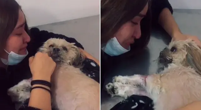 La joven no puedo evitar llorar al ver a su mascota recostada.