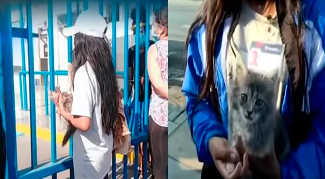 Niña duerme en la calle junto a su gatito a la espera de su padre en UCI Niña duerme en la calle junto a su gatito a la espera de su padre en UCI