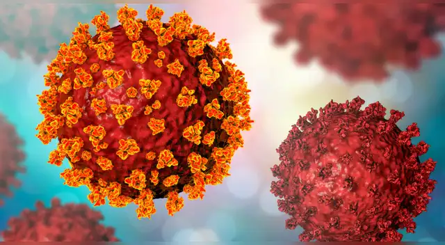 Francia: Hallan nueva variante de la COVID-19 difícil de detectar y especialistas investigan su riesgo. Francia: Hallan nueva variante de la COVID-19 difícil de detectar y especialistas investigan su riesgo.