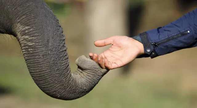 La emotiva escena se ha robado el corazón de miles de usuarios en las redes sociales.