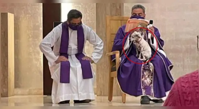 Sacerdote dio una misa junto a su perro enfermo para no dejarlo solo. Sacerdote dio una misa junto a su perro enfermo para no dejarlo solo.