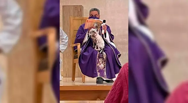 Al parecer, 'Paloma' no se acostumbra a su nuevo hogar y prefiere no estar sola. Al parecer, 'Paloma' no se acostumbra a su nuevo hogar y prefiere no estar sola.