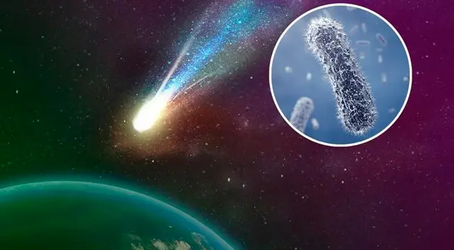 Según los expertos, los cometas, los meteoritos y el polvo estelar pueden contener materia orgánica. Según los expertos, los cometas, los meteoritos y el polvo estelar pueden contener materia orgánica.