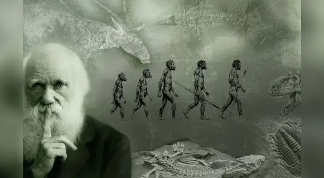 Aprendiendo en casa: Charles Darwin y sus teorías. Aprendiendo en casa: Charles Darwin y sus teorías.