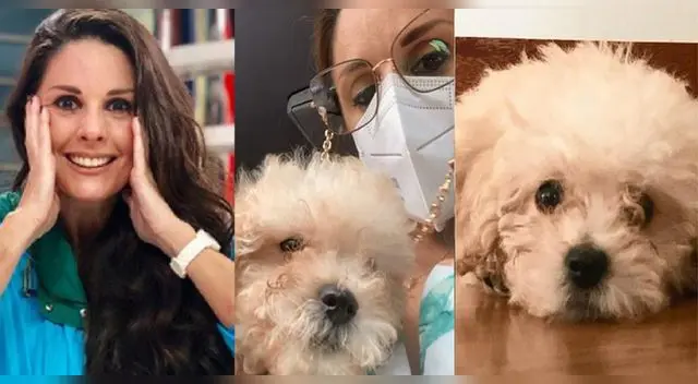 Rebeca Escribens presenta a Leo, la nueva mascota de la familia. Rebeca Escribens presenta a Leo, la nueva mascota de la familia.