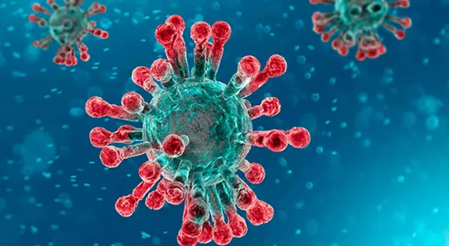 El nombre científico de la posible variante es Spike Insertion.