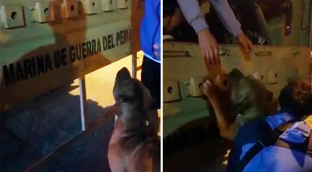 El incidente se produjo en una avenida del sector de Bocanegra, en el Callao. El incidente se produjo en una avenida del sector de Bocanegra, en el Callao.