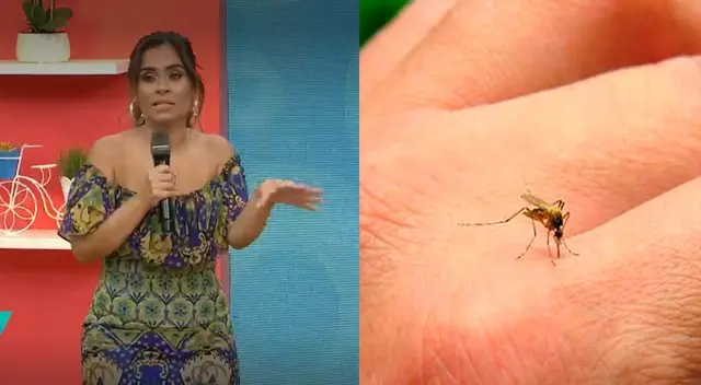 Edwin Requena, biólogo del Ministerio de Salud, llegó a América Hoy para hablar del dengue, y Ethel Pozo opinó.