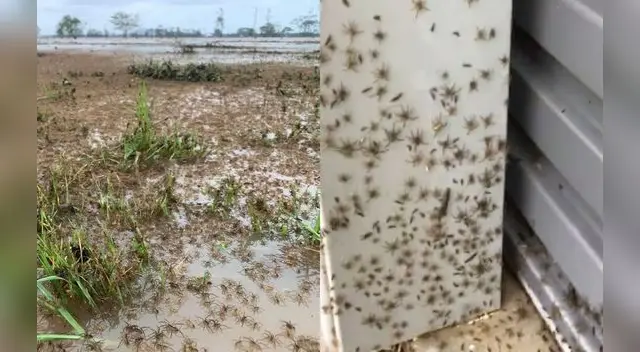 El agua sigue subiendo en vastos territorios del estado australiano de Nueva Gales del Sur.