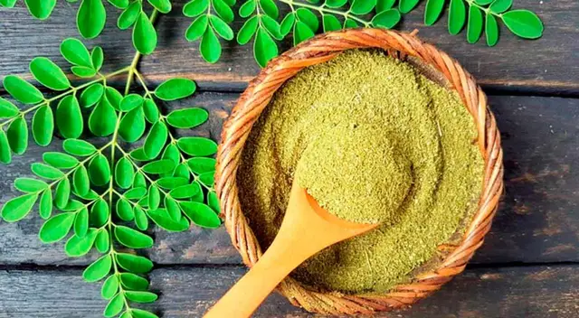 Moringa: conoce más de esta planta que tiene muchos beneficios.