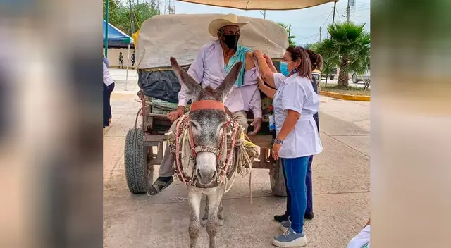 El hombre fue en burro para que lo vacunaran contra el coronavirus.