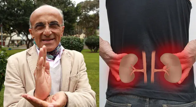 Alimentos que hacen daño a los riñones. Alimentos que hacen daño a los riñones.