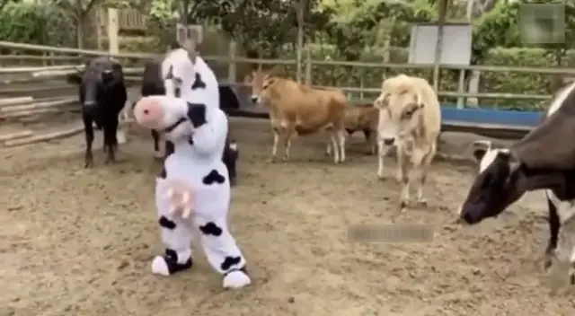 Singular baile de este personaje se viralizó en las redes sociales.