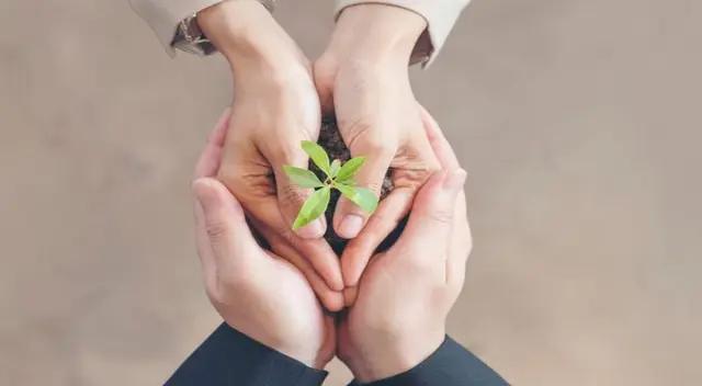 Dale una mano al medio ambiente con tu emprendimiento. Dale una mano al medio ambiente con tu emprendimiento.