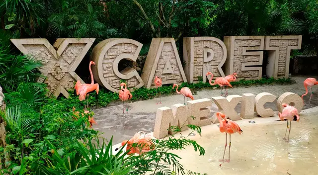 Un error humano provocó la muerte del menor de 13 años.