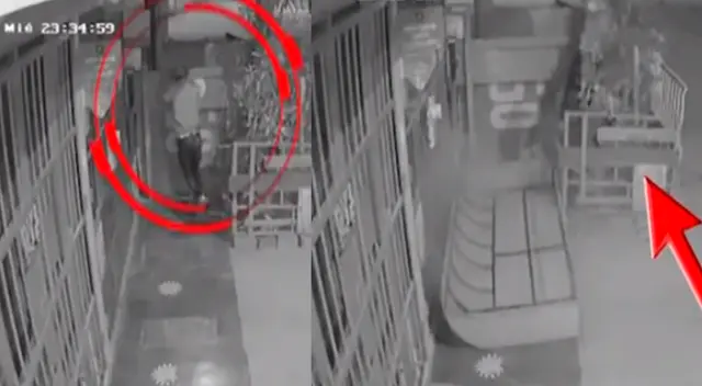 Delincuente intenta robar vivienda en el Callao, pero se cae y huye. Delincuente intenta robar vivienda en el Callao, pero se cae y huye.