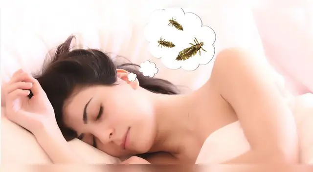 ¿Qué significa soñar con piojos y matarlos? ¿Cómo lo interpreto? ¿Qué significa soñar con piojos y matarlos? ¿Cómo lo interpreto?