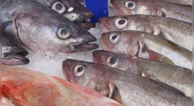 Estamos en Semana Semana Santa y hoy es Viernes Santo por lo que una de las tradiciones mas comunes de todo el mundo es comer pescado. Estamos en Semana Semana Santa y hoy es Viernes Santo por lo que una de las tradiciones mas comunes de todo el mundo es comer pescado.