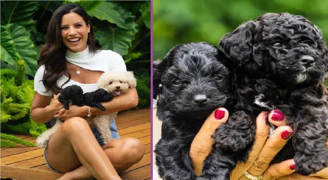 María Pía se muestra feliz por los nuevos integrantes de su familia. María Pía se muestra feliz por los nuevos integrantes de su familia.