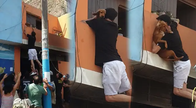 Vecinos grabaron el valeroso acto del joven. Luego de rescatar a la perrita, se llevó los aplausos de todos. Vecinos grabaron el valeroso acto del joven. Luego de rescatar a la perrita, se llevó los aplausos de todos.