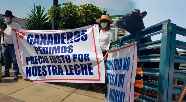 Asociación de ganaderos del Perú se declaran en crisis por incremento de costo de producción.