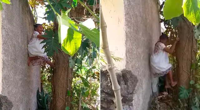 Con una sonrisa en el rostro y una agilidad digna de un gran atleta, Doña Mechita se hizo popular en Facebook. Con una sonrisa en el rostro y una agilidad digna de un gran atleta, Doña Mechita se hizo popular en Facebook.