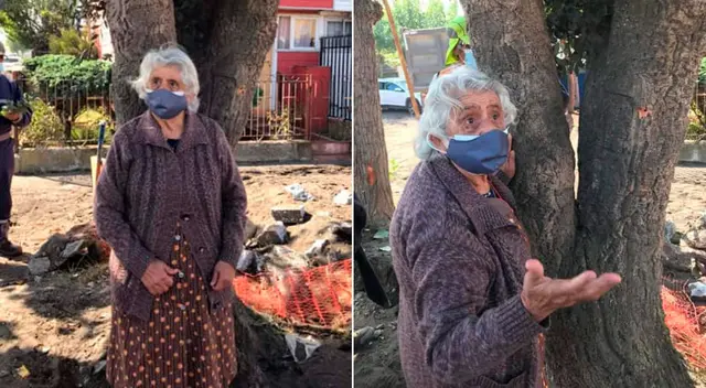 La mujer que se opuso a la tala de uno de los árboles de la zona.