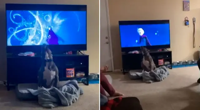 El divertido video viral logró obtener más de 1 millón de reproducciones en TikTok. El divertido video viral logró obtener más de 1 millón de reproducciones en TikTok.