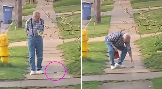 El emotivo video viral logró obtener más de 3 millones de reproducciones en TikTok. El emotivo video viral logró obtener más de 3 millones de reproducciones en TikTok.