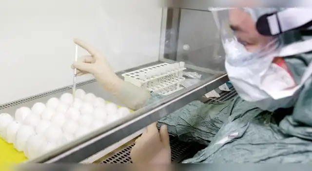 La eficacia de esta vacuna tiene el beneficio de que los investigadores usen menos cantidad de virus para obtener una dosis correcta.