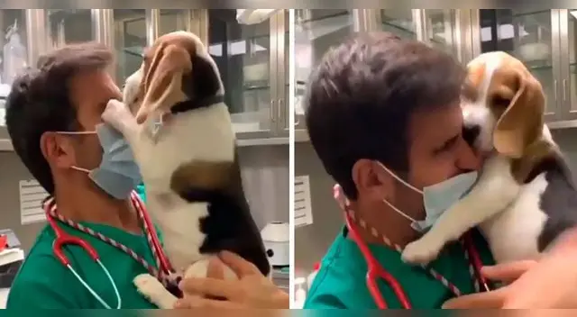 La tierna escena causó furor en las redes sociales. La tierna escena causó furor en las redes sociales.