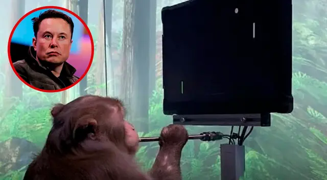 “El primer producto de Neuralink permitirá que alguien con parálisis use un teléfono inteligente con la mente más rápido que alguien que usa los pulgares”, escribió Elon Musk. “El primer producto de Neuralink permitirá que alguien con parálisis use un teléfono inteligente con la mente más rápido que alguien que usa los pulgares”, escribió Elon Musk.