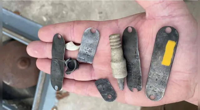 Placas encontradas en el estómago del caimán