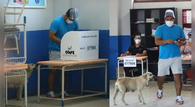 Las imágenes de la carismática perrita han causado sensación en las redes sociales.