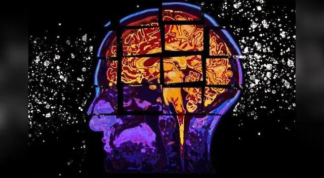 Israel: expertos hallan método para detener la propagación de un tipo de cáncer de cerebro. Israel: expertos hallan método para detener la propagación de un tipo de cáncer de cerebro.