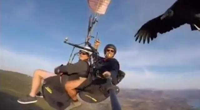 Impresionante video de los jóvenes sigue siendo noticia en las redes sociales. Impresionante video de los jóvenes sigue siendo noticia en las redes sociales.