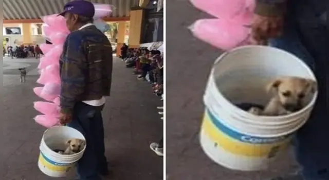 La tierna escena causó furor en las redes sociales.