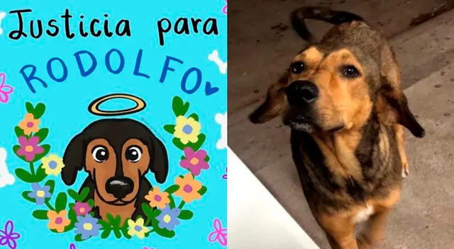 Miles de personas han pedido que se castigue al responsable de la muerte de Rodolfo. Miles de personas han pedido que se castigue al responsable de la muerte de Rodolfo.