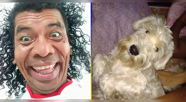 Cachay triste tras la perdida de su pequeño 'Ringo'. Cachay triste tras la perdida de su pequeño 'Ringo'.