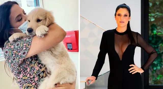 Mascota de María Pía Copello será operada tras accidente.