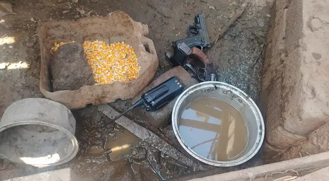 Armas arrojadas a corral de aves. Armas arrojadas a corral de aves.