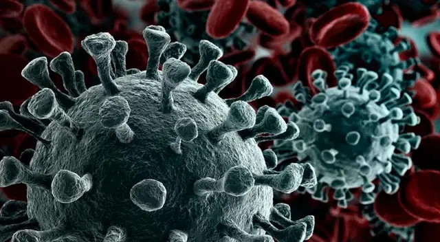 OMS pidió acelerar los procesos de vacunación. OMS pidió acelerar los procesos de vacunación.