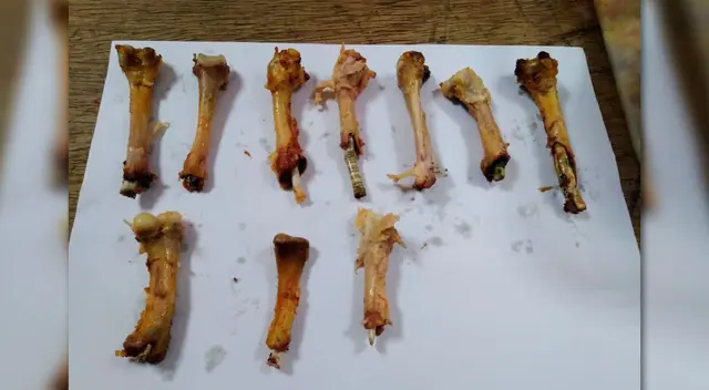 Los huesos de pollo con la droga Los huesos de pollo con la droga