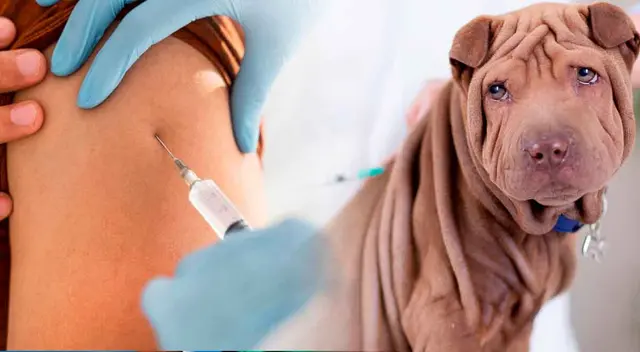 Autoridades comenzaron con las investigaciones.